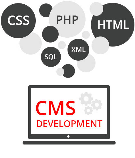 CMS Development